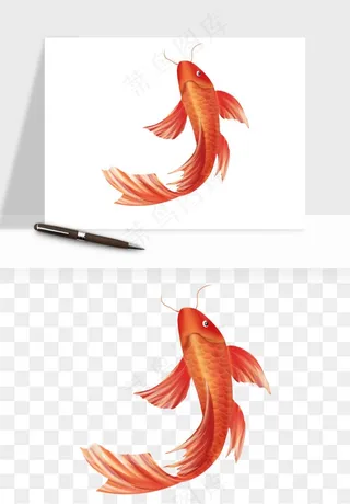 锦鲤鱼手绘水墨png免抠
