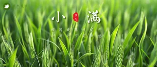 小满公众号首图