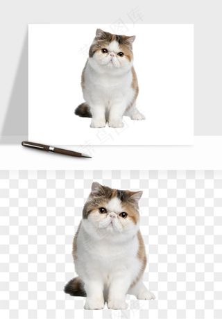 猫咪喵星人狗狗宠物元素png免抠