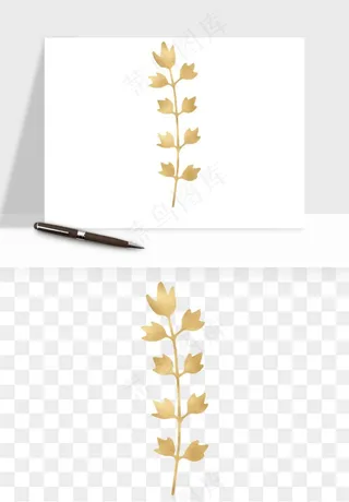 金色植物花环边框png免抠
