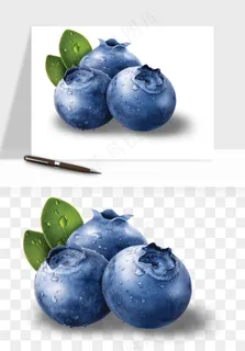 蓝莓水果png免抠