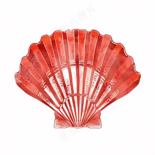 海洋扇贝贝壳卡通插画免抠