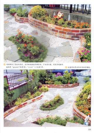 郁郁葱葱的自然花园