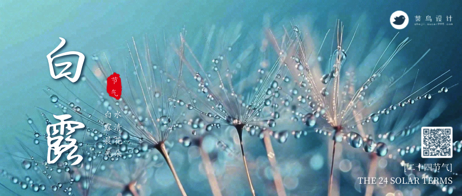 白露公众号首图