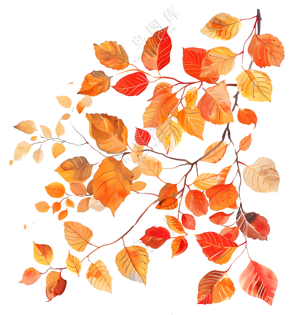 彩色秋叶插图
