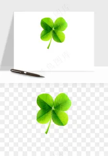 手绘四叶草幸运植物png免抠
