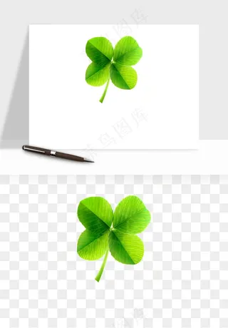 手绘四叶草幸运植物png免抠