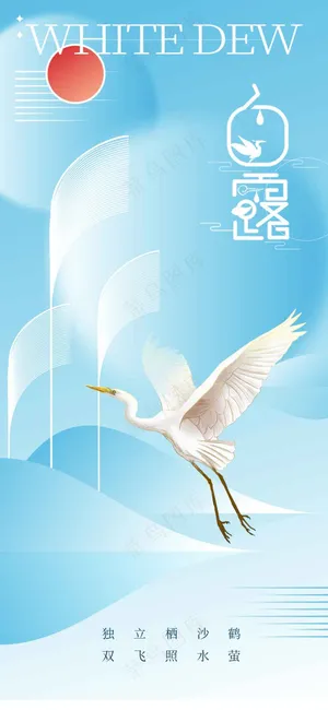 白露节气传统活动宣传海报