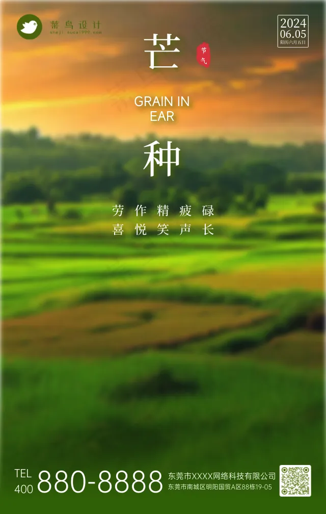 芒种手机海报