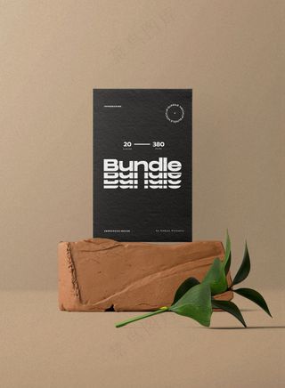 黑色名片卡片海报logo样机企业vi提案-18