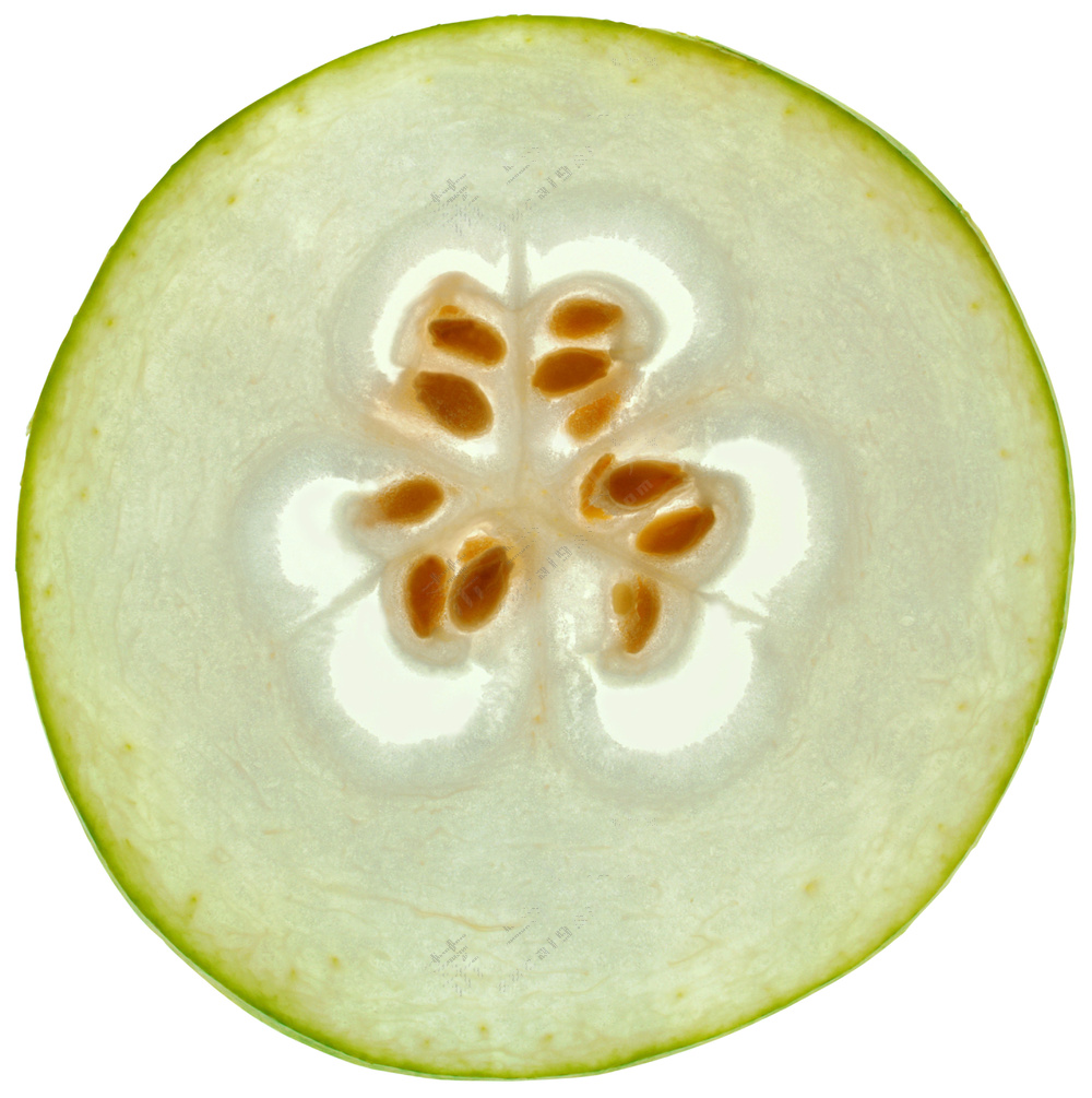 蔬菜切面图片 (11)