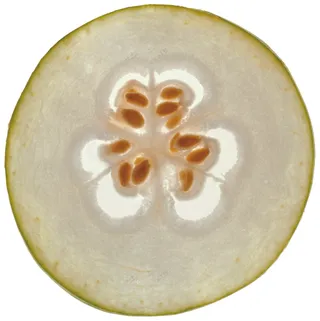 蔬菜切面图片 (11)