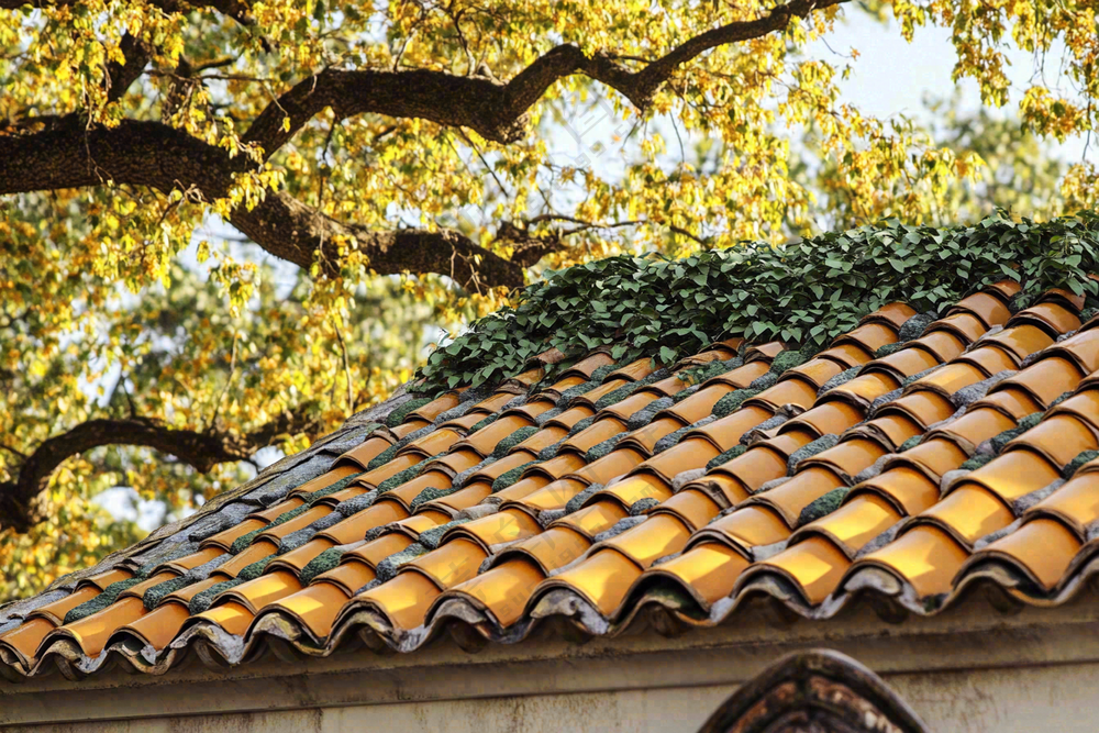 秋天屋檐瓦砾黄了的树木摄影图