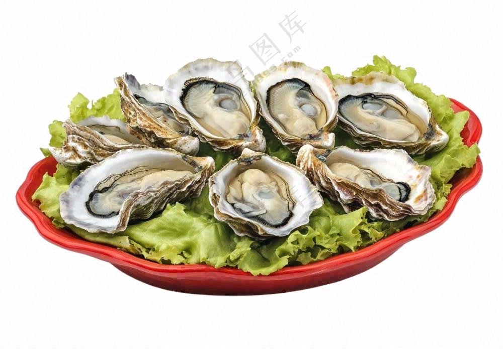 时蔬生蚝海鲜摄影图免抠