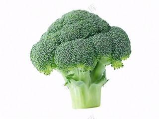 西蓝花蔬菜免抠