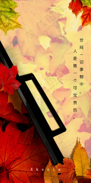 日签早安素材门窗日签海报