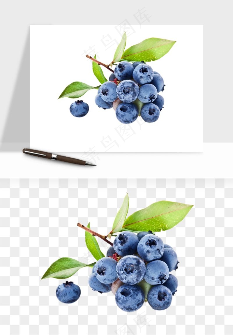 蓝莓水果png免抠