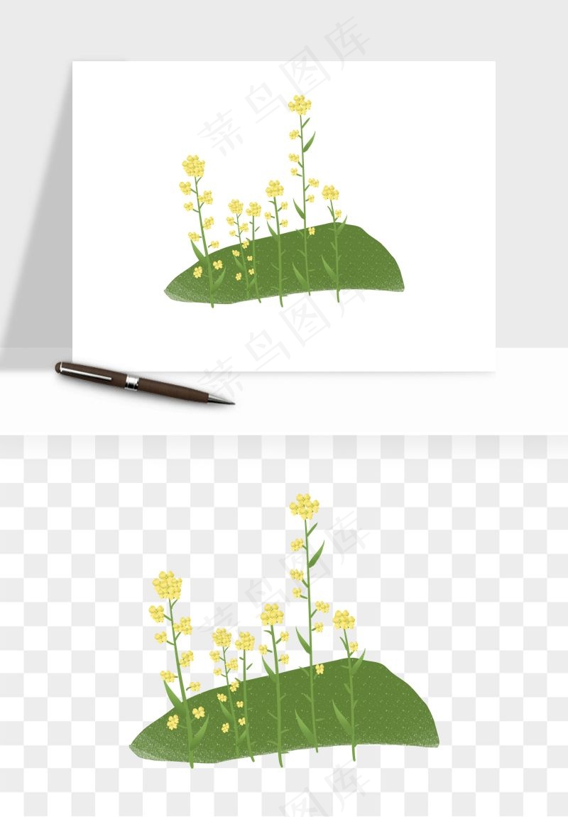 油菜花田png免抠