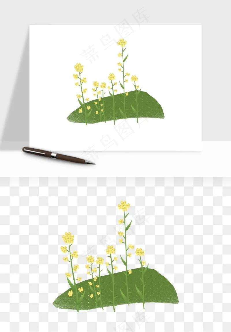 油菜花田png免抠