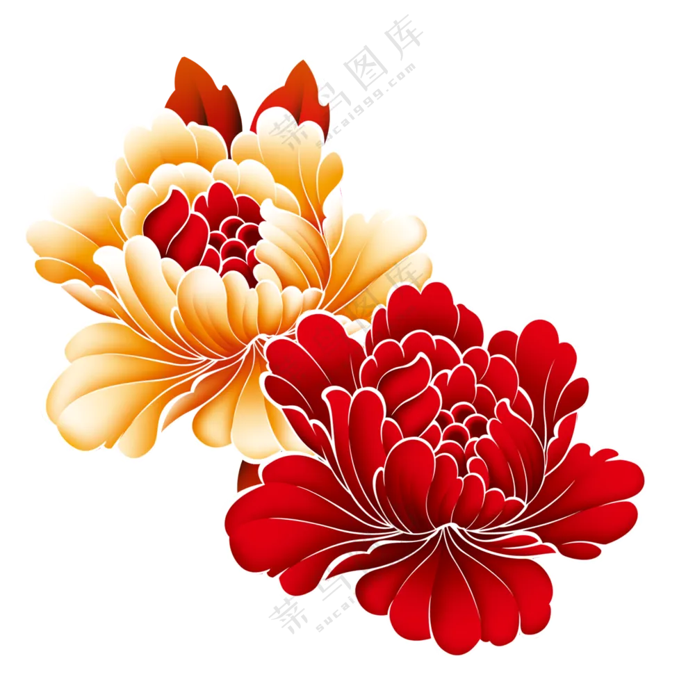 两大朵牡丹花装饰元素免抠图片素材