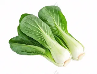 上海青蔬菜免抠