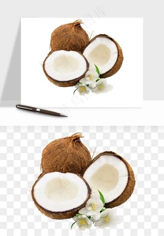椰子椰果水果png免抠