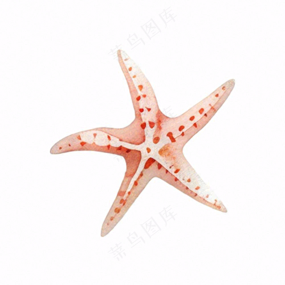 海星海洋生物卡通插画免抠