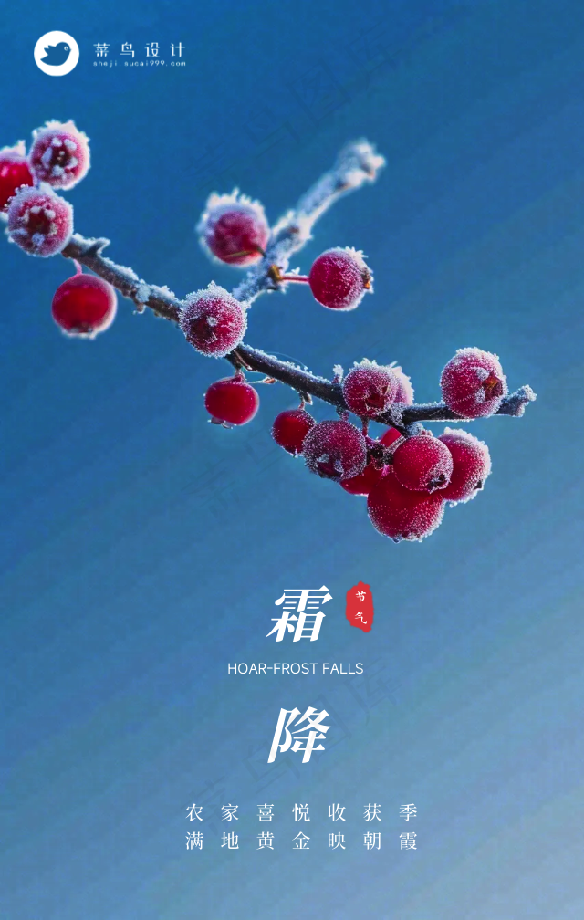 霜降手机海报