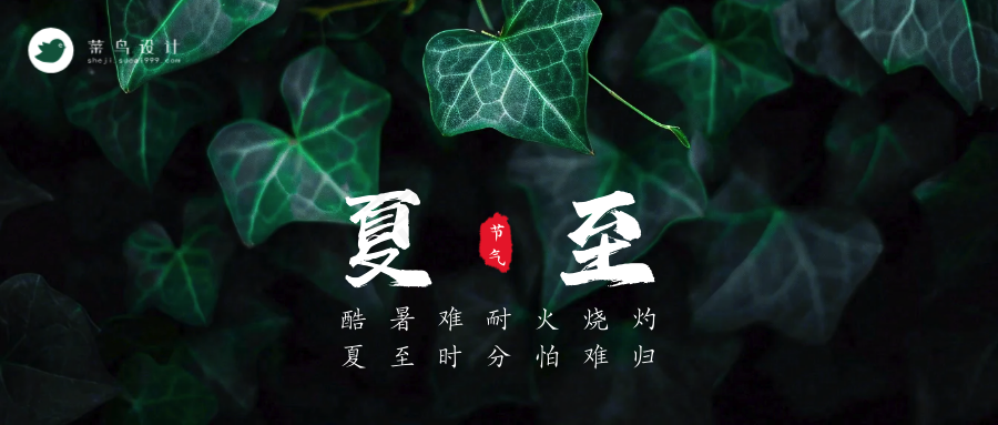 夏至公众号首图