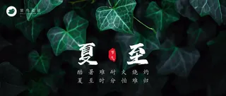 夏至公众号首图