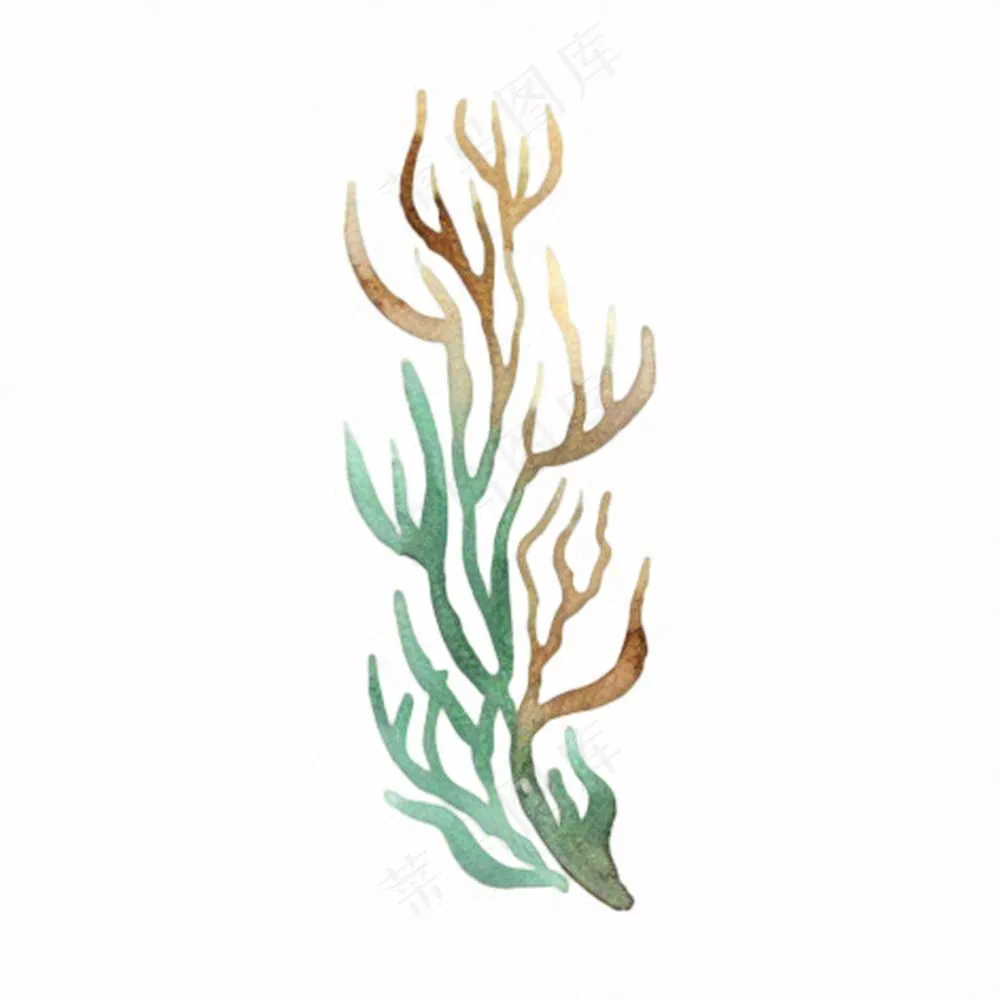 海洋海藻珊瑚植物卡通插画免抠