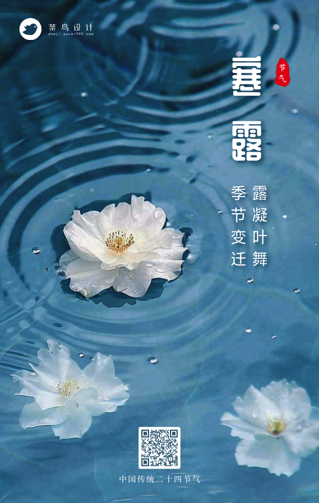 寒露手机海报
