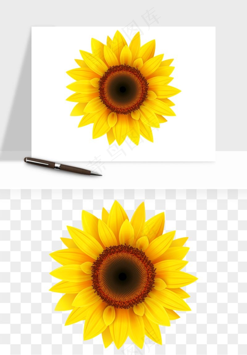 向日葵太阳花卉png免抠