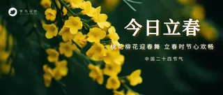 立春公众号首图