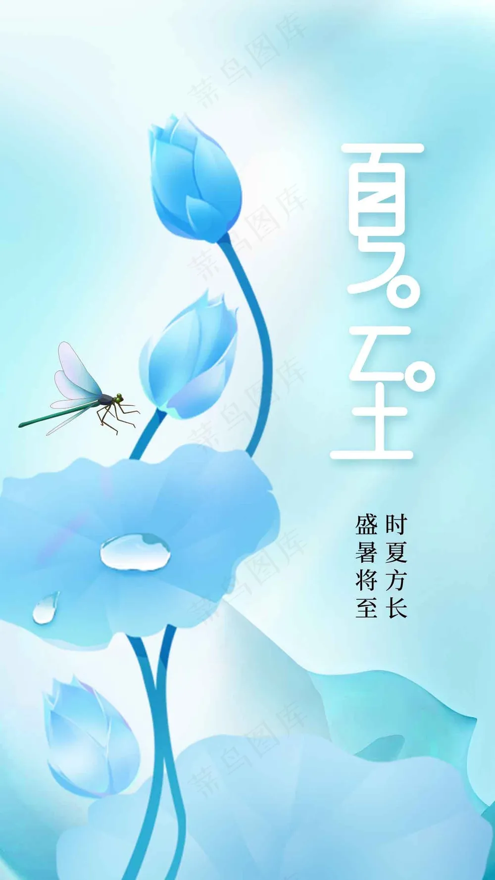 夏至节气传统海报