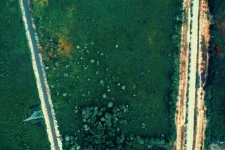 绿野双轨线，自然与人工的和谐交响