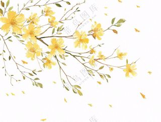 春天树枝上的黄花水墨风插画免抠