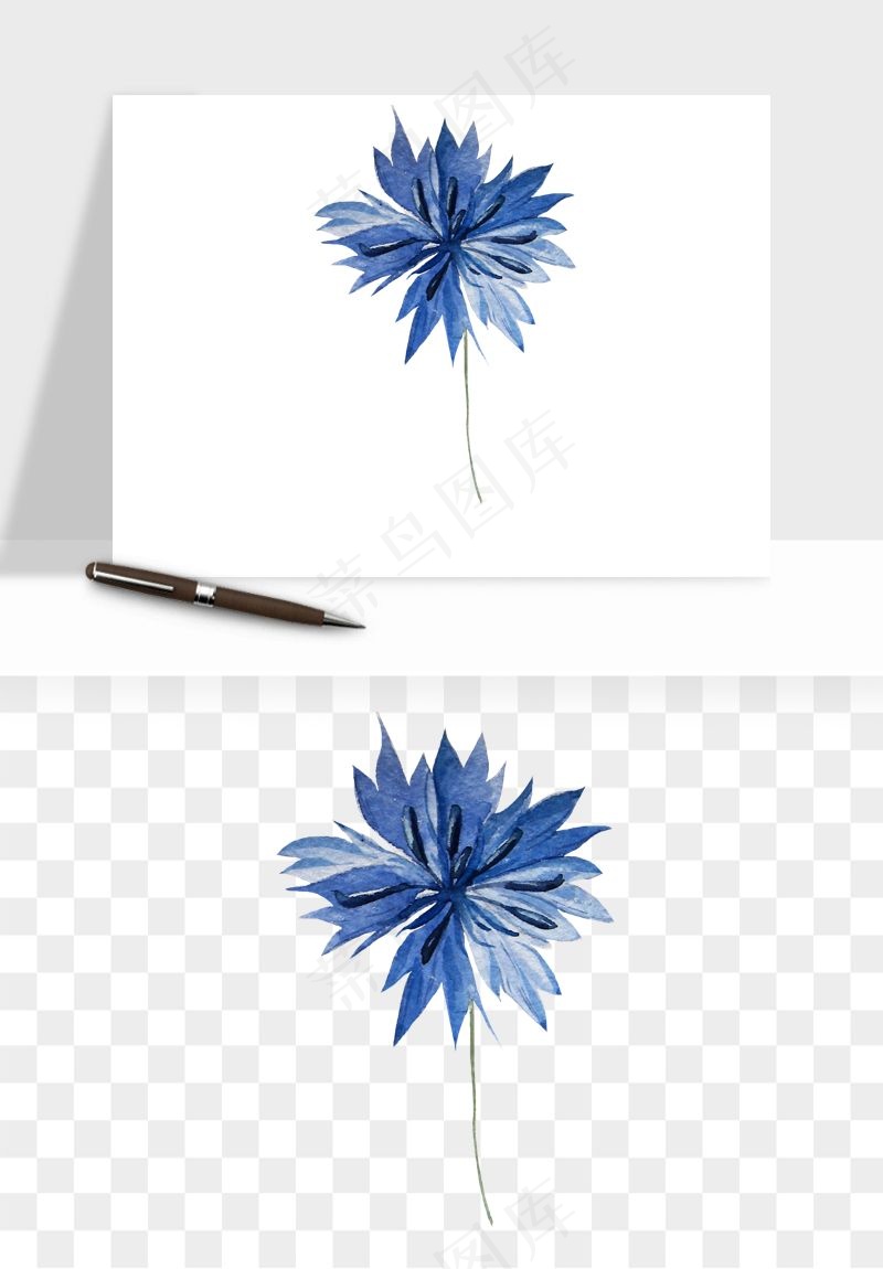 水彩复古植物花卉png免抠