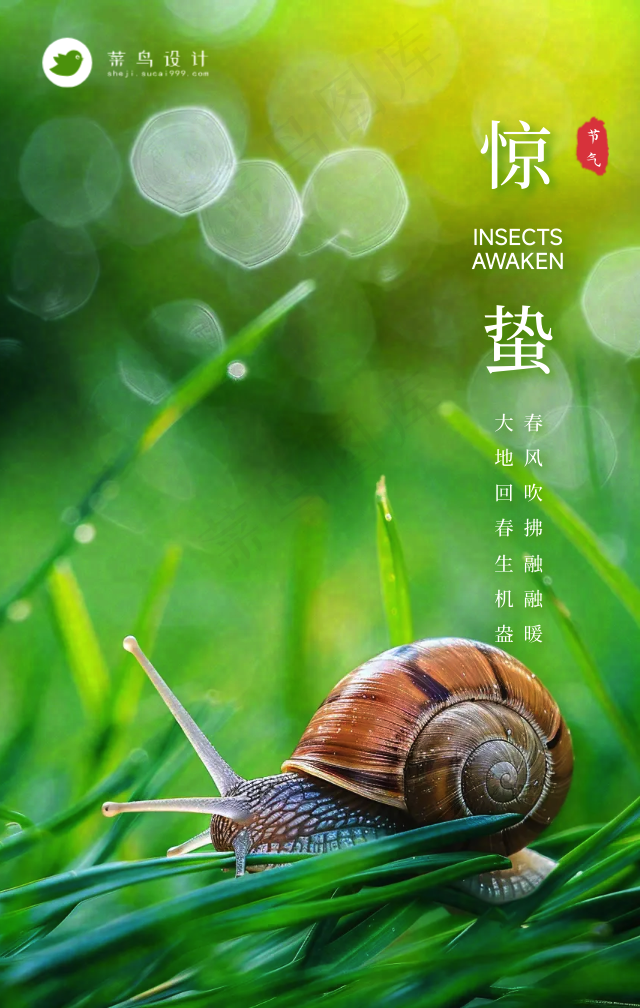 惊蛰手机海报