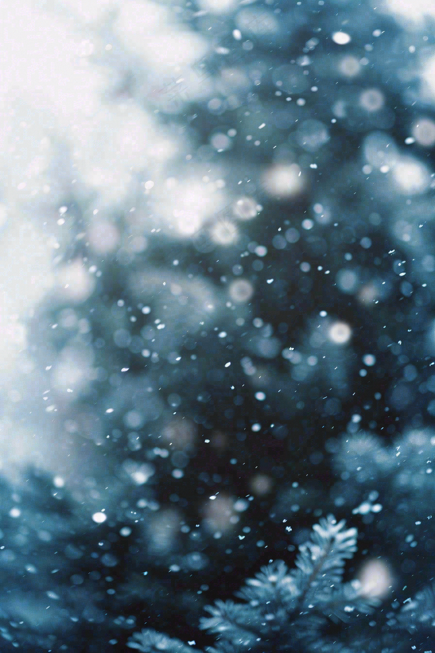 冬季下雪天寒冷树林松树小雪大雪小寒摄影图