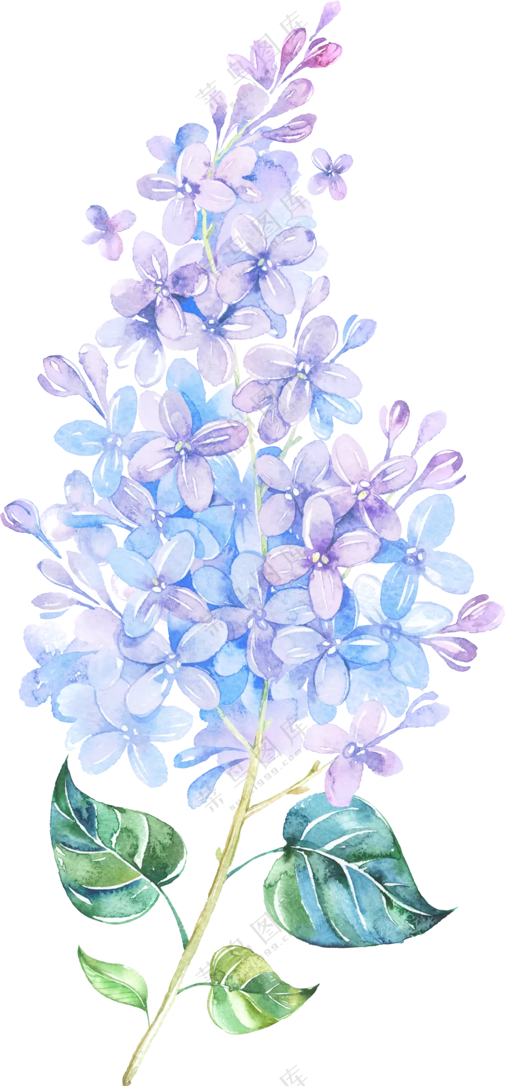 蓝紫色的花朵水彩手绘创意免抠素材