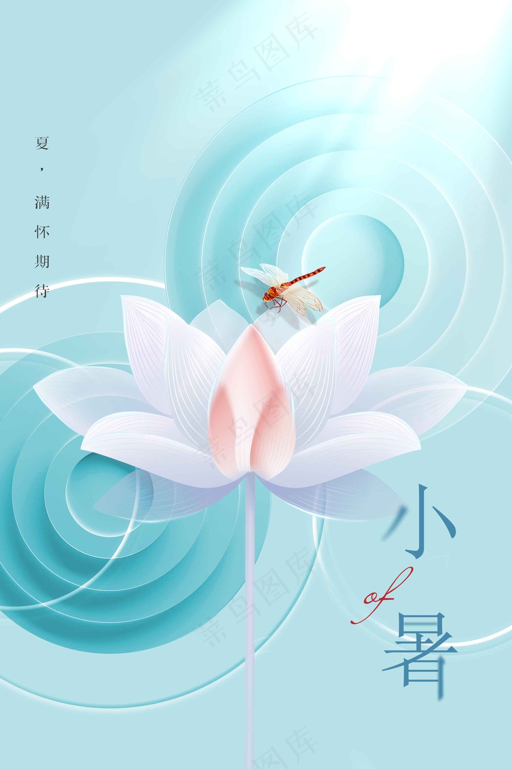 小暑节气传统活动海报