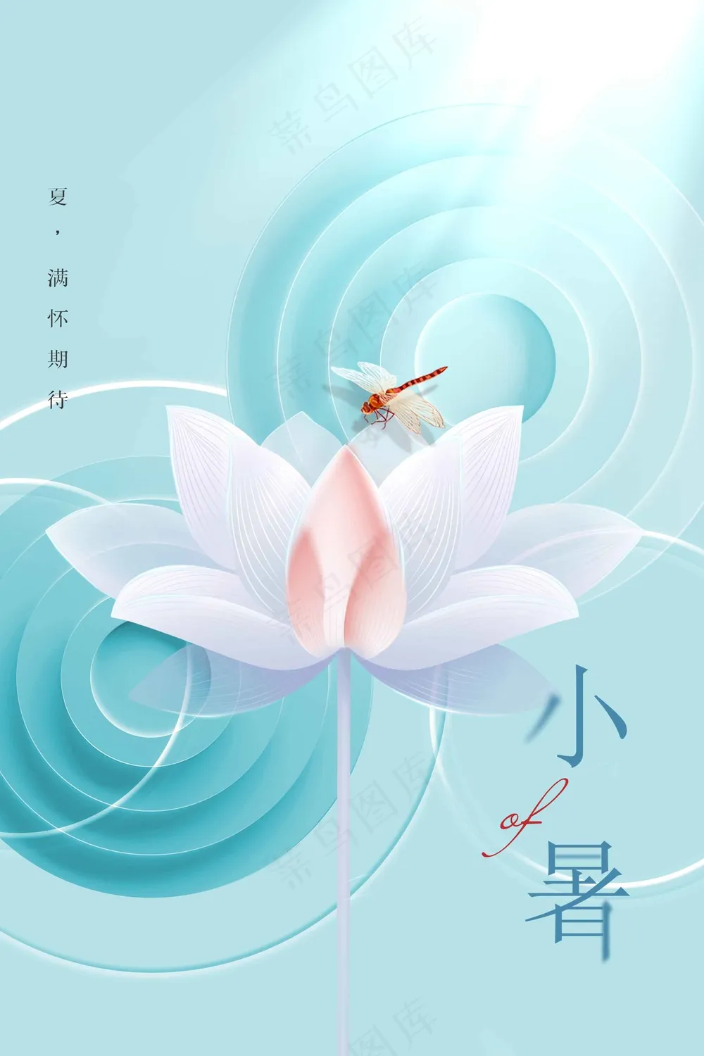 小暑节气传统活动海报