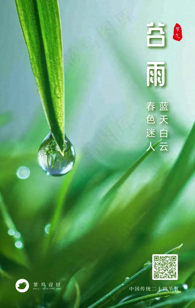 谷雨手机海报