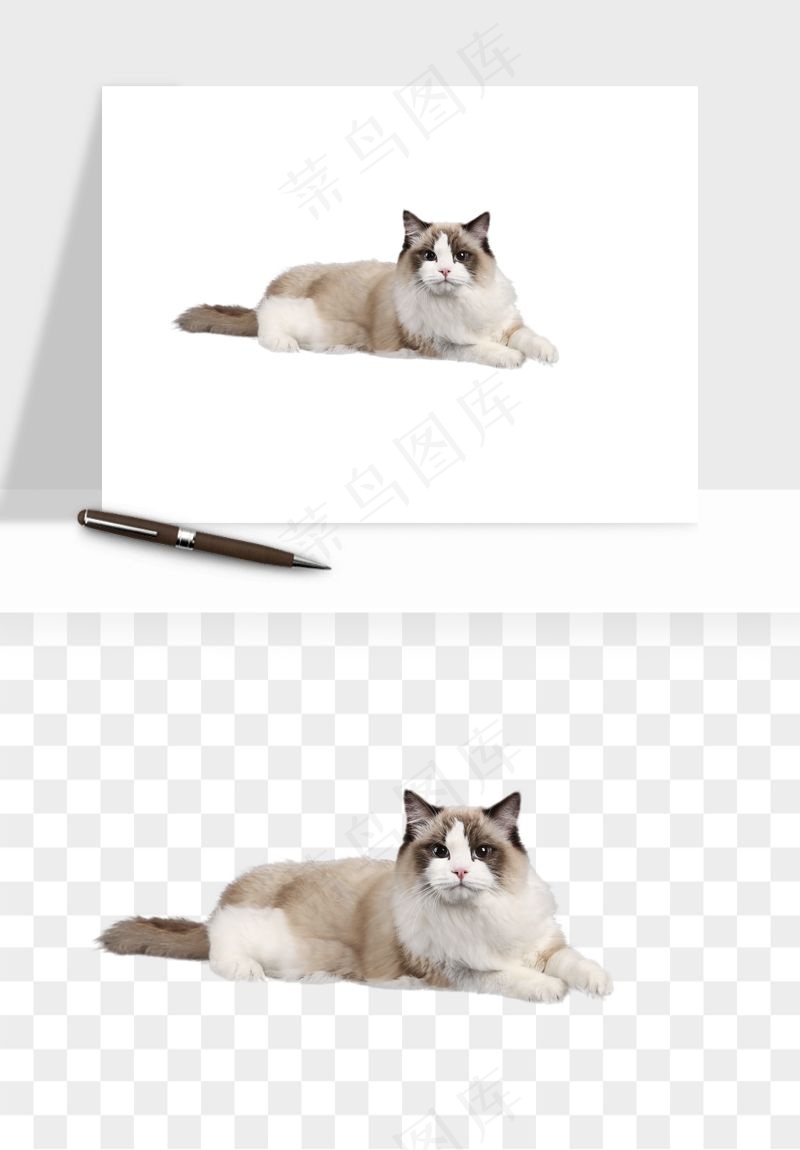 猫咪喵星人狗狗宠物元素png免抠