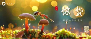 惊蛰公众号首图