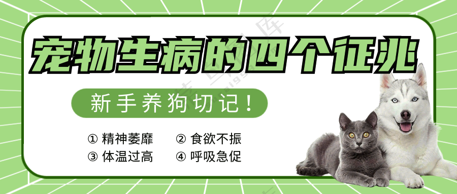 萌宠宠物常识攻略公众号首图