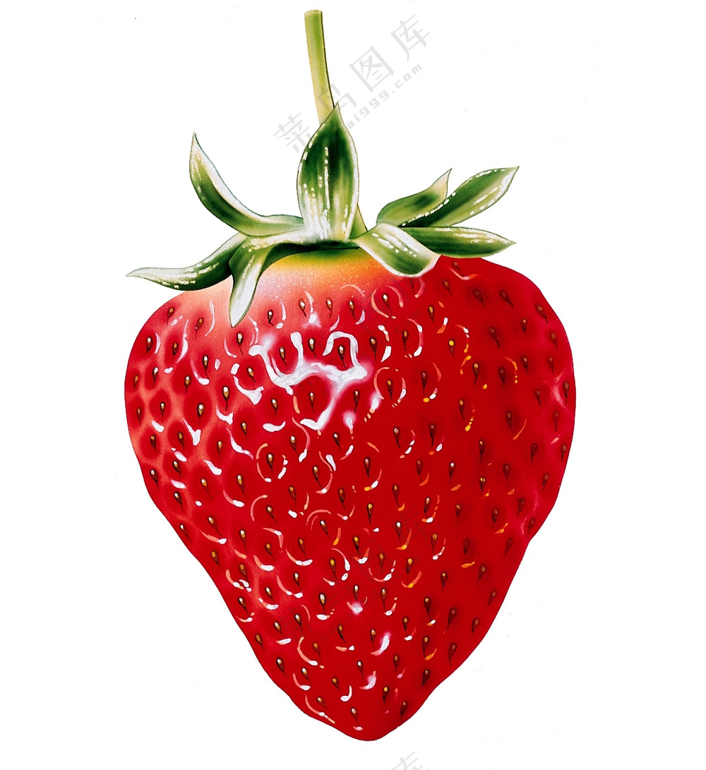 水果草莓图片素材 (1)
