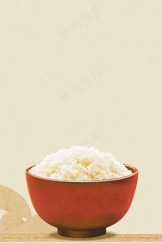 世界粮食日谷物米饭稻谷小麦摄影图