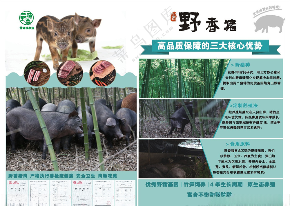 土猪肉 土猪海报超市猪肉正宗土猪
